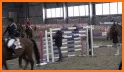 Horse Racing World - Show Jumping Stable Simulator related image