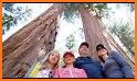 Sequoia National Park Guide related image