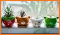 Cute & Tiny House Plants - Mini Home Garden related image