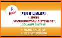 6. Sınıf Tüm Dersler Test Konu Anlatım related image