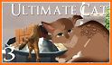 Ultimate Cat Simulator: Virtual Pet Free Cat Games related image