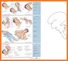 Glasgow Coma Scale: GCS Score, Consciousness Level related image