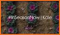 InSeasonNow! related image