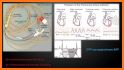 Hemodynamics related image