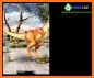 Talking Tyrannosaurus Rex related image