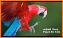 Kids Puzzle World - Free Animal & School Jigsaws related image