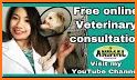 Vetster: 24/7 Online Vets related image