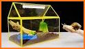 Pet Animal Farm Building Craft related image