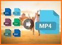 Download Videos Free And Fast Mp4 Easy Guide related image