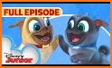 Disney Junior : Best Episodes related image