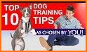 DogTraining related image