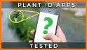 iSnap - Plant Identifier related image