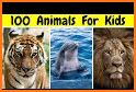 100+ Animal Sounds related image