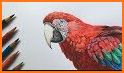 Scarlet Macaw Pictures related image