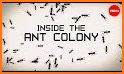 The Ant Colony related image