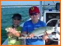 FishVerify: FLORIDA Fish ID related image