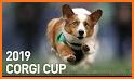 Corgi World Tour related image