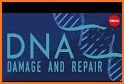 DNA Mutations Puzzles 🧬 related image