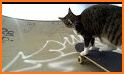 Cat skater related image