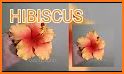 Hawaiian Hibiscus Flower Theme related image