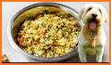 Dog Food Recipes - Homemade Do related image