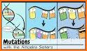 DNA Mutations Puzzles 🧬 related image