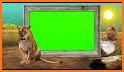 Wild Animal Photo Editor - Animal Photo Frames New related image