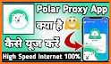 Polar Proxy-Stable&Safe related image