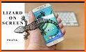 Lizard  on phone  prank related image