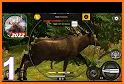 Hunting Deer: 3D Wild Animal Hunt Game related image