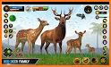 Deer Hunting 2021-Wild Animals Hunting Games related image