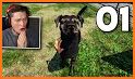 Animal Shelter Simulator Game related image