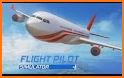 Airplane Flight Pilot Simulator related image