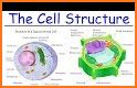 NGSS Biology - Study Cards, 6 of 7 related image