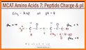 Peptide Calculator related image