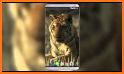 Moving Tiger Live Wallpaper related image