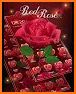 Rose Flower Beautiful Launcher Theme related image