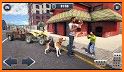 ATV Quad Bike Pet Transporter Driving - Dog Games related image