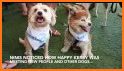 BarkHappy related image