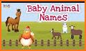 Montessori Vocabulary - Baby Animal Names related image