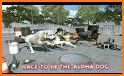 Dog Racing Action Game related image