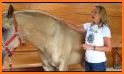 Healthy Horse - Determining a horse’s body weight related image