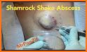 Shamrock Animal Hospital related image