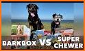 BarkBox related image