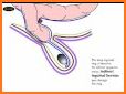 All Medical Mnemonics (Colored & Illustrative) related image