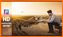 Tiger Photo Editor related image