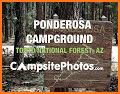 Ponderosa Campground related image