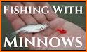 Minimo Fishing related image