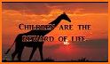 Ubuntu African Proverbs related image