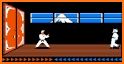 Karateka Classic related image